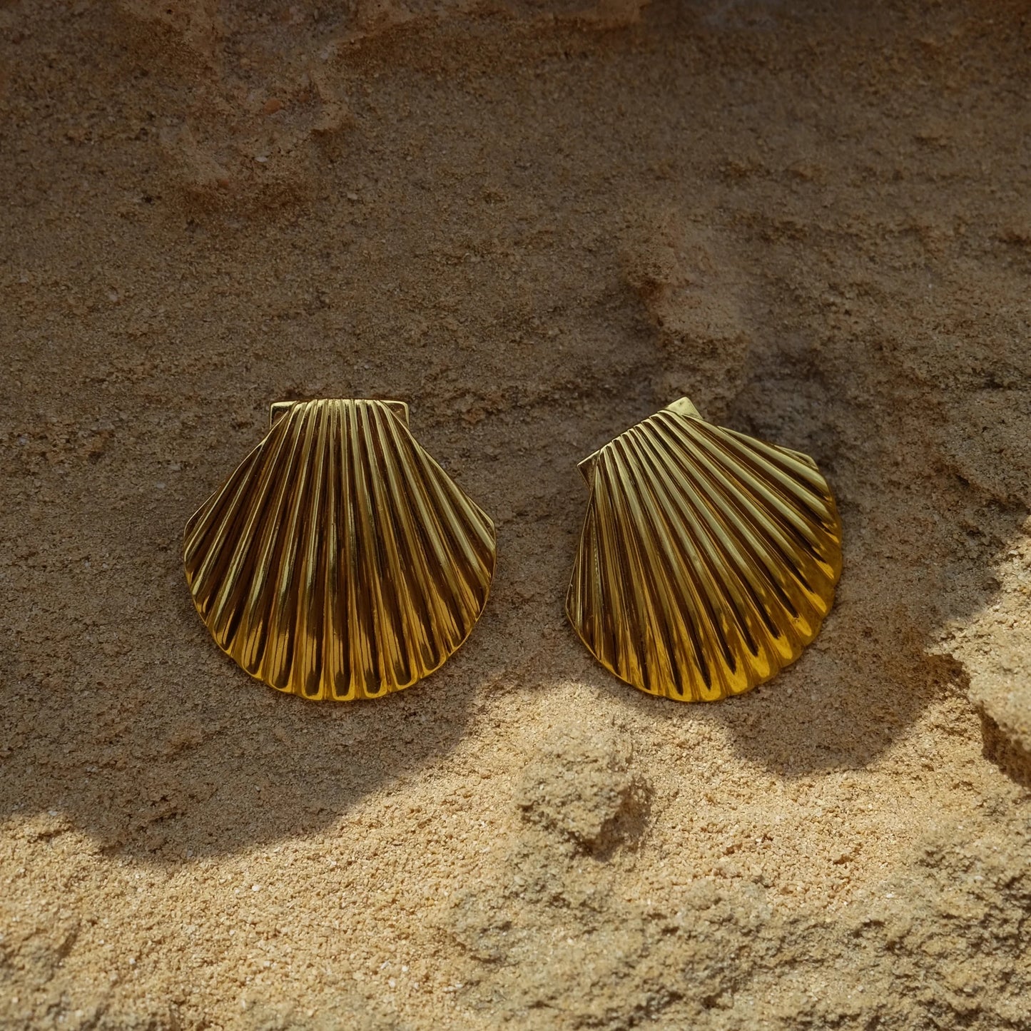 Seashell Earrings