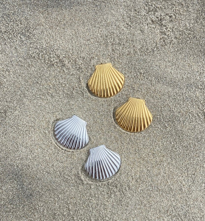 Seashell Earrings