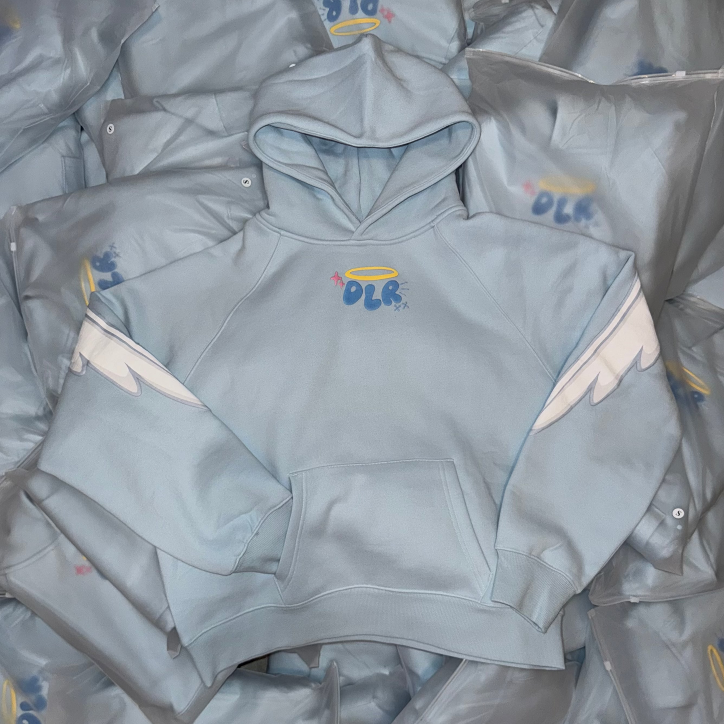 Light blue hoodie with 'DLR' logo on a gray background