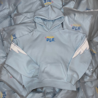 Light blue hoodie with 'DLR' logo on a gray background
