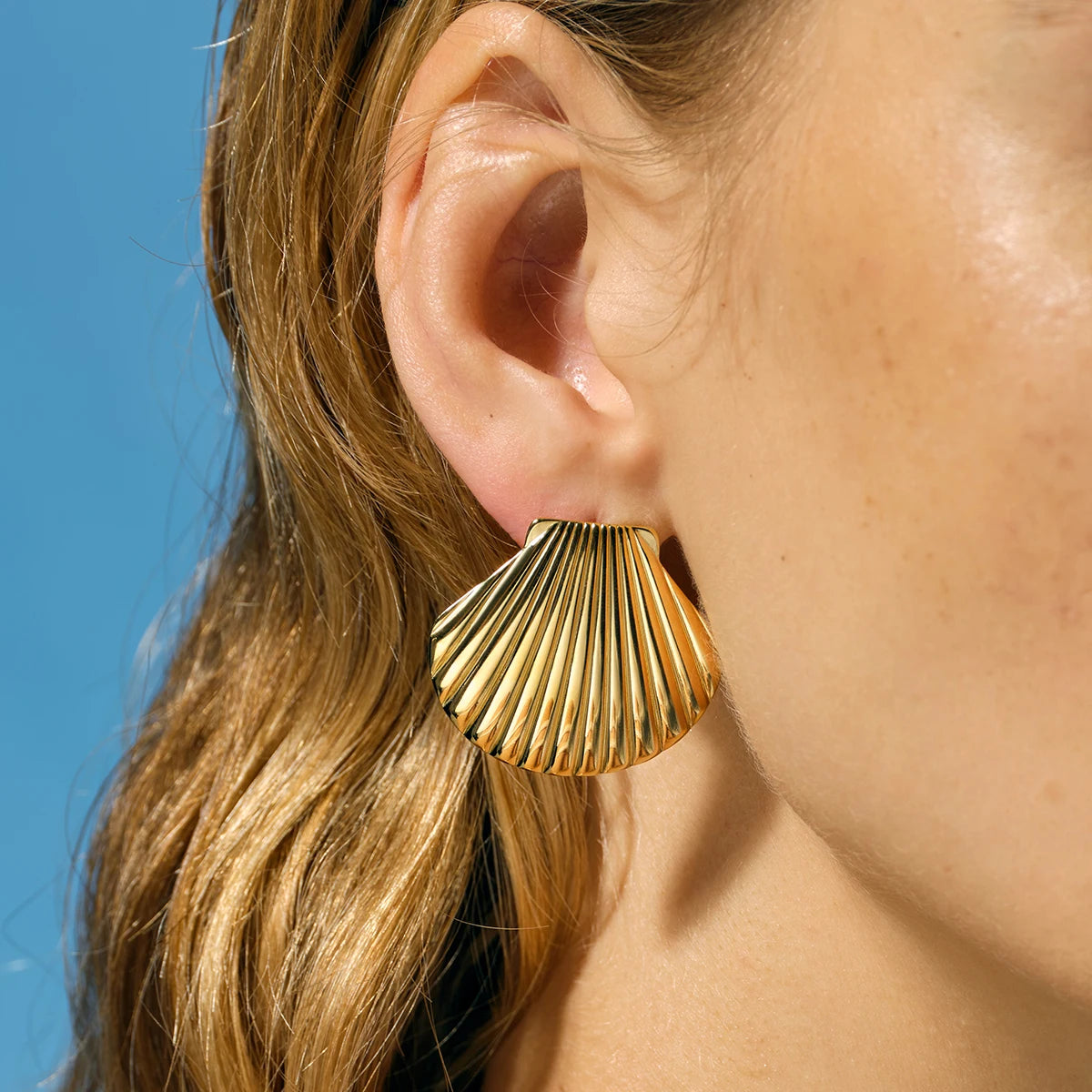 Seashell Earrings